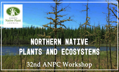 ANPC 32nd Workshop