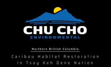 Chase Caribou Road Restoration Program Video