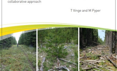 Coarse Woody Debris Guide