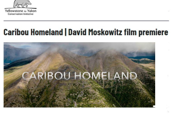 screenshot from Yellowstone to Yukon webpage 