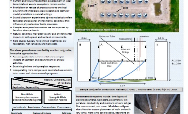 Mesocosm Factsheet