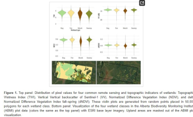 Wetland mapping graphic