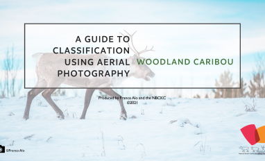 Screenshot of the cover page of the guide