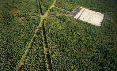 Drone view of pad and linear features