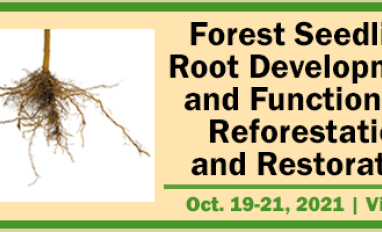 Forest Seedling Root Development And Function For Reforestation And Restoration