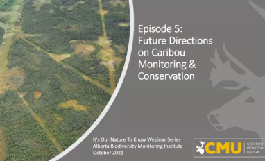 "ABMI's Future Directions on Caribou Monitoring and Conservation" Webinar title slide