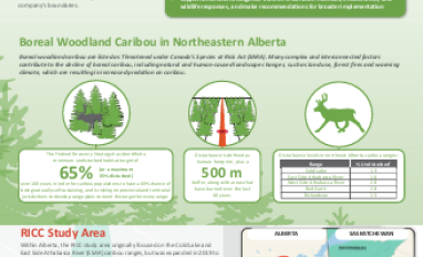 2019 RICC Annual Report - front page