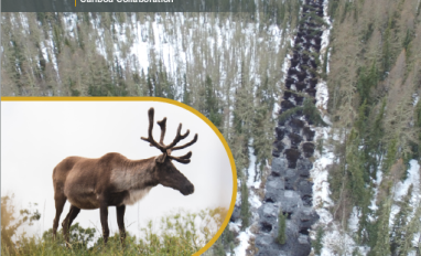 2020 RICC Annual Report Cover