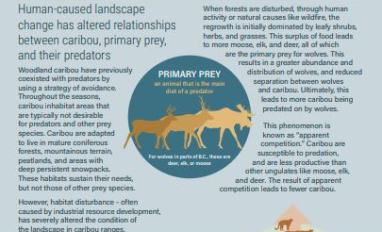 Background_Part1_BC_infographic