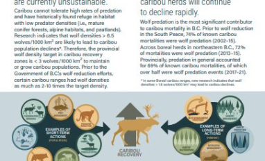Background_Part2_BC_infographic
