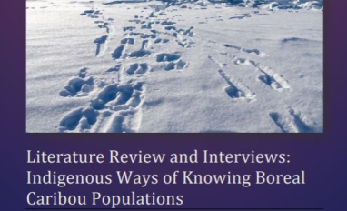 Cover of report: Literature review and interviews: Indigenous ways of knowing boreal caribou populations