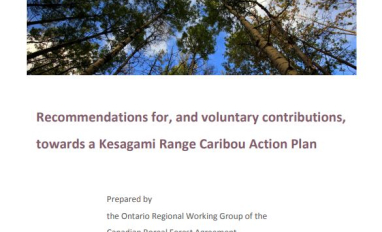 Cover page of the Recommendations for, and voluntary contributions, towards a Kesagami Range Caribou Action Plan 