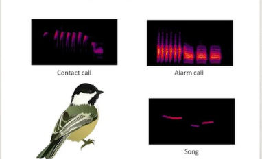 Screen shot from video