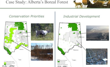 Screen shot from video