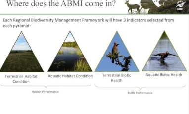 Screen shot from video