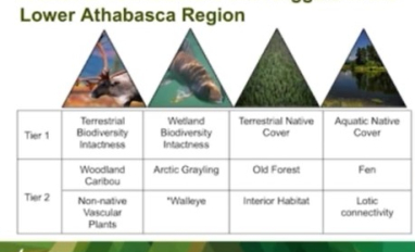 Screen shot from video