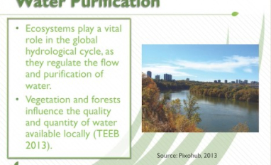 Screen shot from video