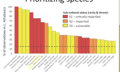 Screen shot from video