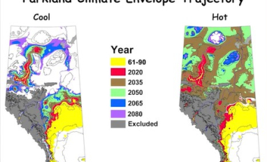 Screen shot from video