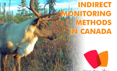 Screenshot over cover slide of report