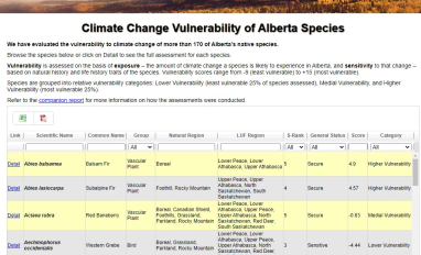 Screen shot of website