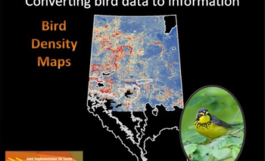 Screen shot from video