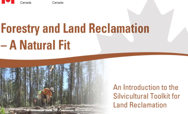 Forestry and Land Reclamation: a natural fit