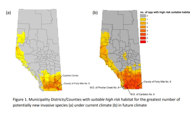 Invasive species risk map