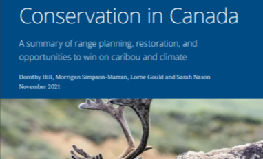 Cover of 2021 Pembina Report- Status of Boreal Woodland Caribou Conservation in Canada