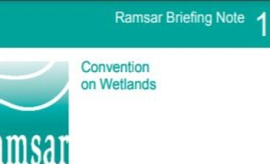 Practical Peatland Restoration