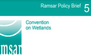 Ramsar Policy Brief