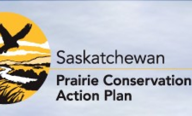 Saskatchewan Prairie Conservation Action Plan
