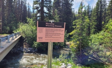 Sign in Kanaskis