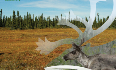 Cover-summary of NWT framework for boreal caribou range planning