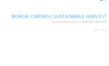 Cover of plain language summary- Boreal Caribou Sustainable Harvest