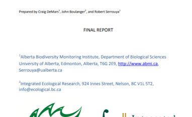 Cover of A literature review for monitoring rare and elusive species, and recommendations on survey design for monitoring boreal caribou 