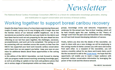 Cover of NBCKC Newsletter #14 - January 2022 (English)