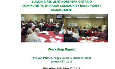 Workshop report cover page