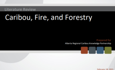 Cover of Literature Review: Caribou, Fire, Forestry