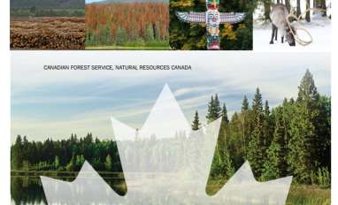 Cover_Addressing Cumulative Effects of Natural Resource Development in Canada’s Forests