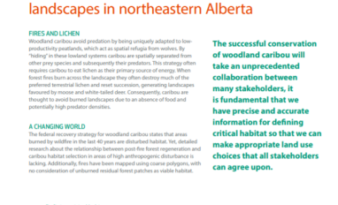 Cover-RICC_Report-2018