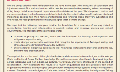 Principles for Cross-Cultural Collaboration thumbnail