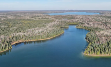 News article photo- boreal wildlands 