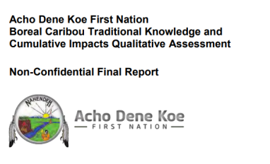 Report title and Acho Dene Koe First Nation logo