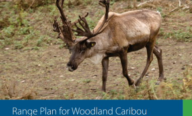Cover - Range Plan for Woodland Caribou in Saskatchewan 