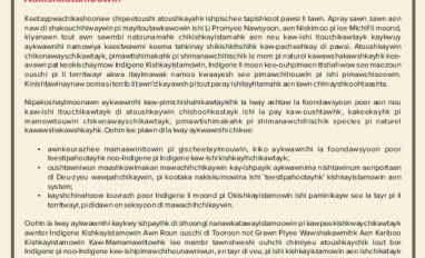 Principles for Cross-Cultural Collaboration_Michif thumbnail