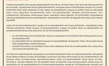 Principles for Cross-Cultural Collaboration_Woods Cree thumbnail