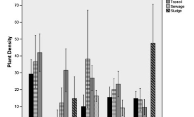 Plant density vs substrate type