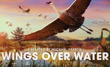 Wings Over Water Film