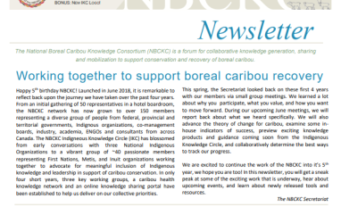 Newsletter cover page